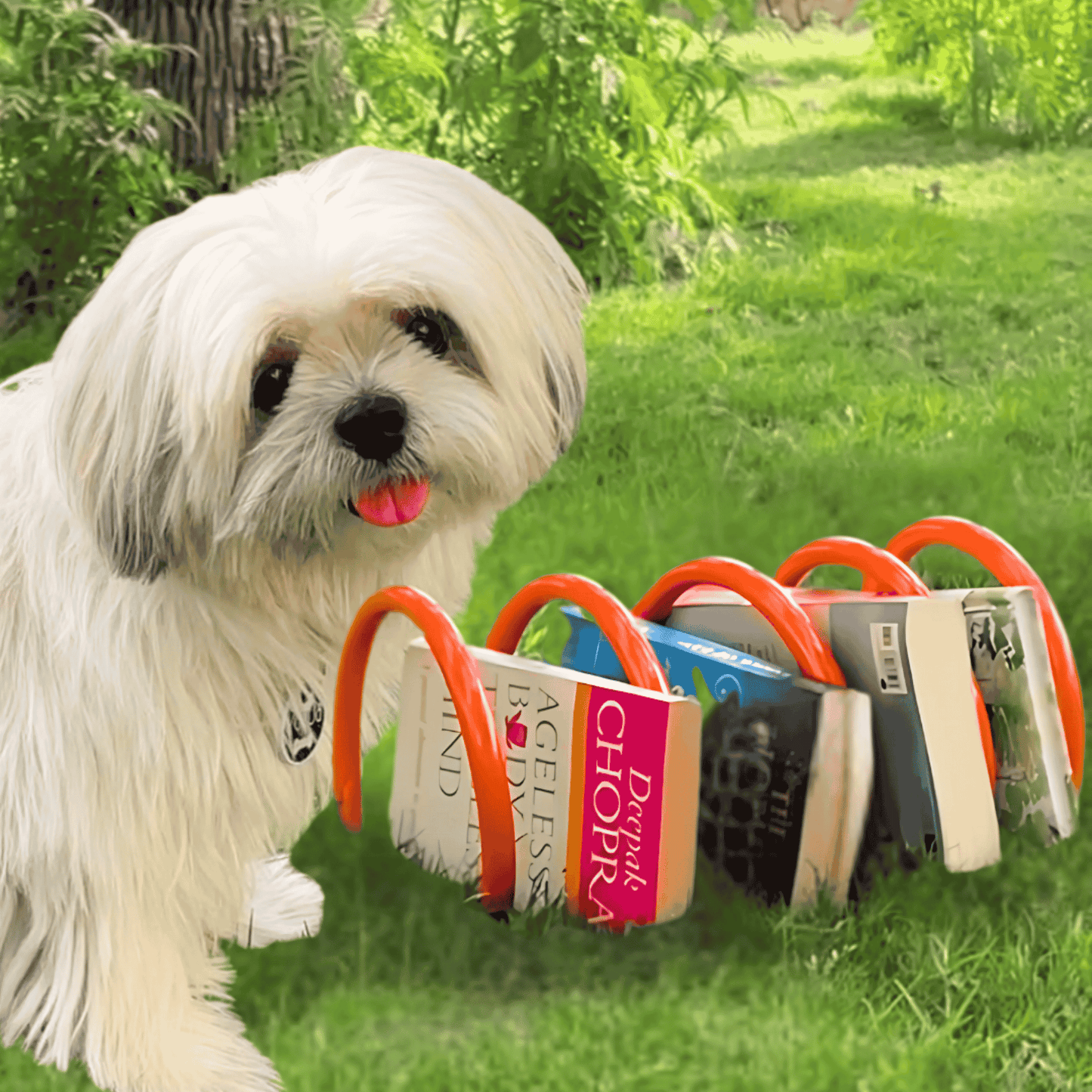 Spring Book Holder